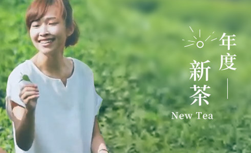 圖片7